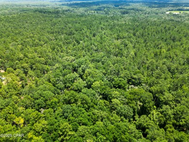 TBD Creek Run Rd, Vernon, FL 32462 - photo 6