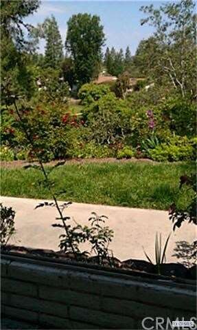 beautiful view from patio