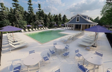 349 Mont Haven Place, Lexington, SC 29072 - photo 3