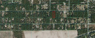 00000 SW 57th Place, Dunnellon, FL 34432 - photo 3