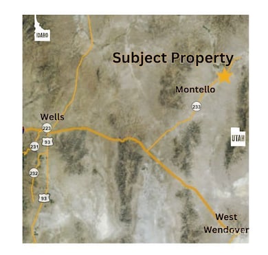 0 01059f041 unit 3626248, Montello, NV 89835 - photo 7