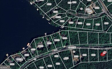 101 Douglas Fir Dr, Waleska, GA 30183 - photo 4