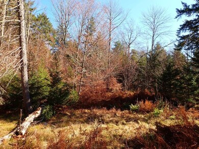 0 Upper Fisher Rd, Roxbury, VT 05663 - photo 6