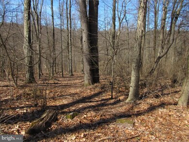 0 Shady Ln unit 1000346252, Mohnton, PA 19540 - photo 3