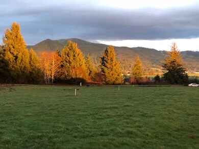 morning light