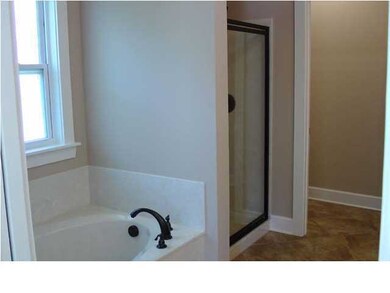 Garden Tub and Shower