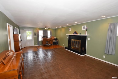 10019 N Spring Ln, Peoria, IL 61615 - photo 3