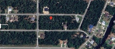 14223 Cain Ave, Port Charlotte, FL 33953 - photo 7