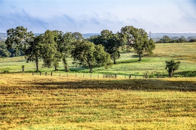 2945 Fm 3090 Rd, Navasota, TX 77868 - photo 4