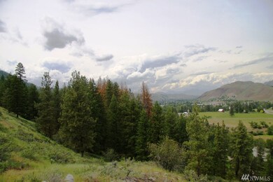 803 Twisp Carlton Rd, Twisp, WA 98856 - photo 6