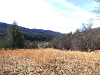 0 Alto Rd unit 342956, Vesuvius, VA 24483 - photo 4