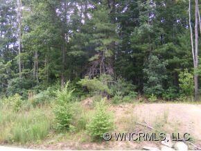 233 Baton Ln unit 10, Hendersonville, NC 28792 - photo 4