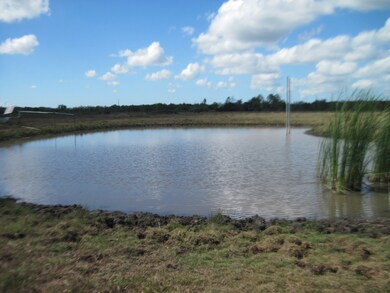 308 County Road 416, Brazoria, TX 77422 - photo 7