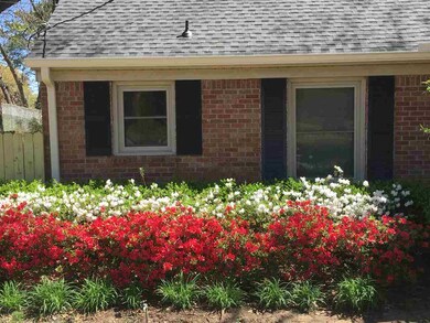 Spring time brings out the colors. Abundant white 