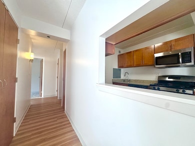 133 Park St unit 404, Brookline, MA 02446 - photo 3