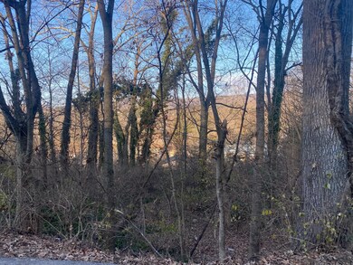 Lot View