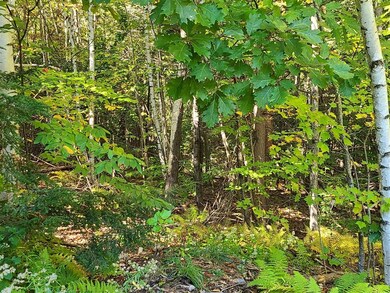 00 Long Ridge Rd unit Lot 2 AKA Lot 22, Sanbornville, NH 03872 - photo 6