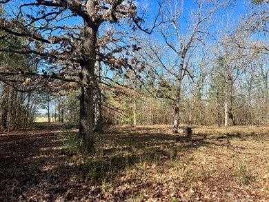 2004 County Road 915, Nacogdoches, TX 75964 - photo 2