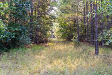 107540 County Road 037, Jasper, TX 75951 - photo 2