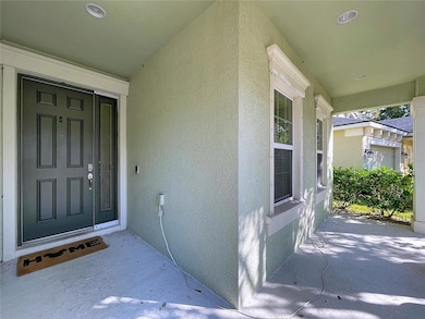 6507 Nestall Ct, Apollo Beach, FL 33572 - photo 6