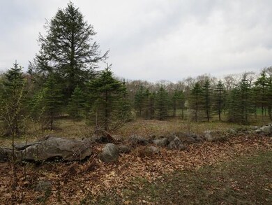 Lot 00 Moulton Hill Rd, Monson, MA 01057 - photo 3