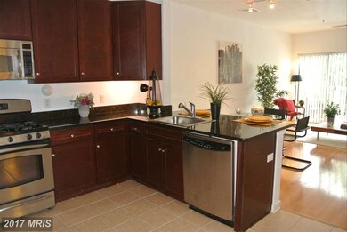 8045 Newell St unit 216, Silver Spring, MD 20910 - photo 4