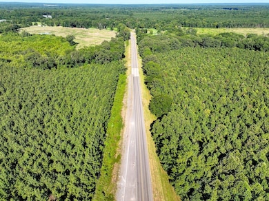 US 70 W, Dierks, AR 71846 - photo 2