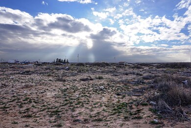 15101 Tungsten Rd, El Paso, TX 79928 - photo 7