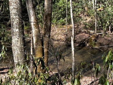 0 Little Snowbird Rd unit 152342, Robbinsville, NC 28771 - photo 4