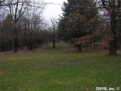 Yard/Garden