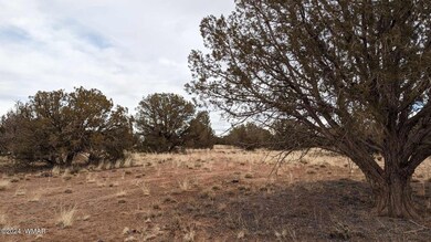 417078102_917338290064975_76866041524251