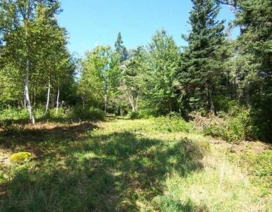 Land/Lot.