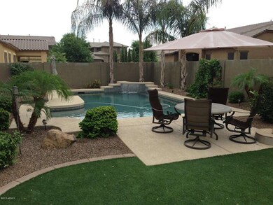 Back yard-