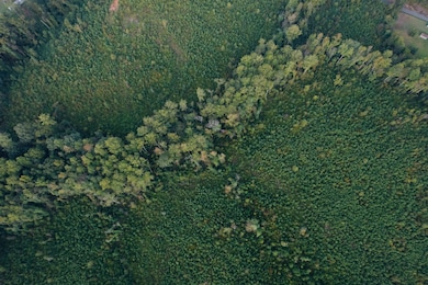 9230 Blizzard Rd, Meridian, MS 39305 - photo 3