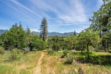 12726 Water Gap Rd, Williams, OR 97544 - photo 3