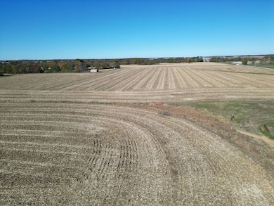 12140 County Loop Rd, Palmyra, IL 62674 - photo 2