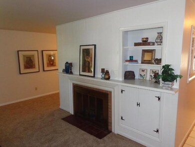 fireplace - great room