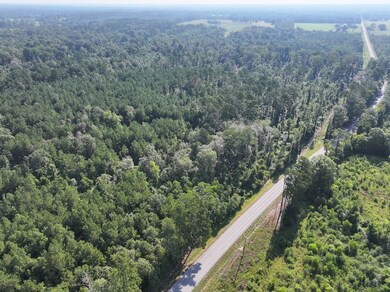 0 Hwy 1045 Hwy unit LotWP003 24553811, Amite, LA 70422 - photo 6