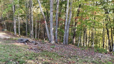 Looking down the property from homesite