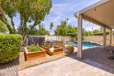 023_Backyard