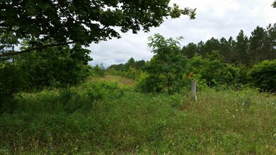 20150824_124946_resized