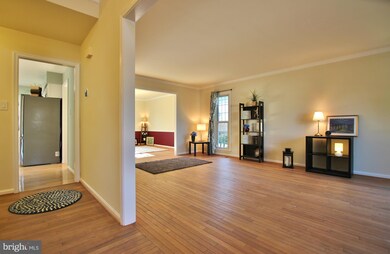 13540 Smallwood Ln, Chantilly, VA 20151 - photo 4