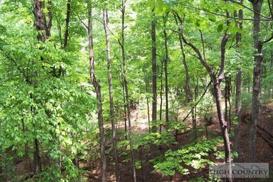 Additional View