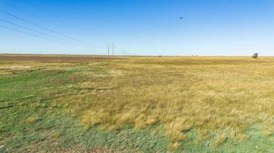 0 Highway 60, Panhandle, TX 79068 - photo 6