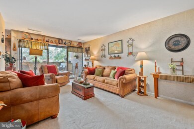 11212 Chestnut Grove Square unit 316, Reston, VA 20190 - photo 4
