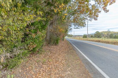 Tract 9 Old Dalton Cleveland Hwy unit 10, Cohutta, GA 30710 - photo 2