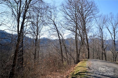 24 Lochmoor Ln, Waynesville, NC 28785 - photo 6