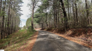 23 Belk Rd, Travelers Rest, SC 29690 - photo 7