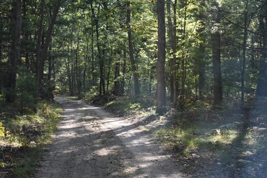 10452 N Woodbridge Ave, Bitely, MI 49309 - photo 4