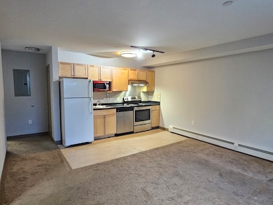 275 W Main St unit 11, Marlborough, MA 01752 - photo 2